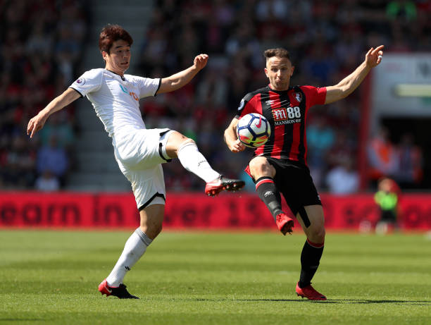 本菲卡管理 本菲卡管理