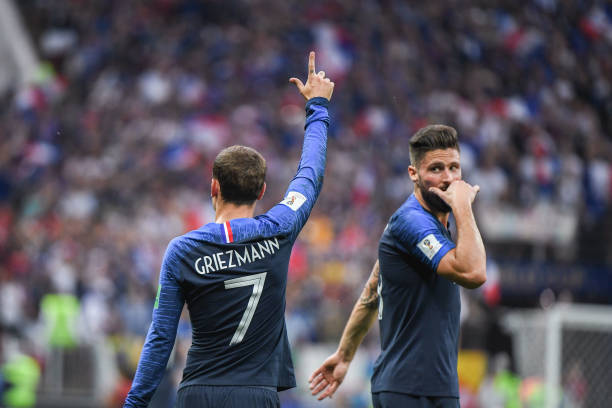 他们在引进 他们在引进