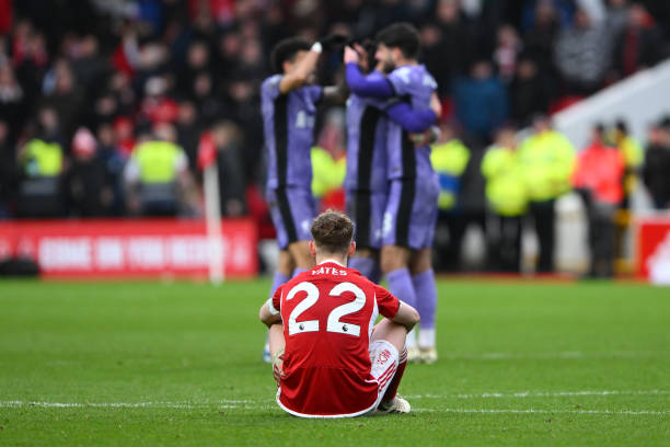 也展望了球 也展望了球